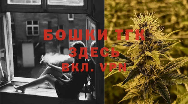гидра Алексеевка