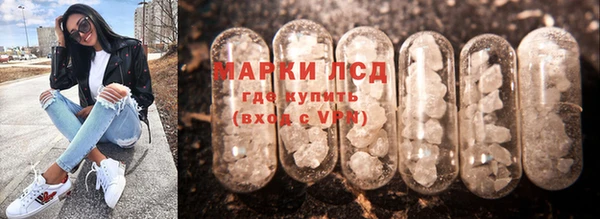 ПСИЛОЦИБИНОВЫЕ ГРИБЫ Алзамай