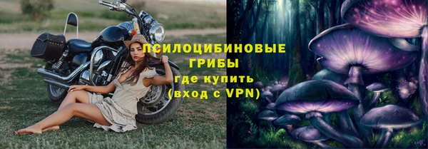 тгк Сатка