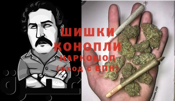 ПСИЛОЦИБИНОВЫЕ ГРИБЫ Алзамай