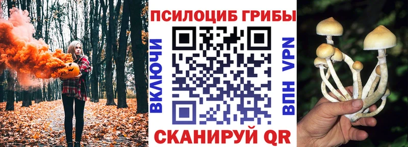 наркошоп  Далматово  Псилоцибиновые грибы ЛСД 